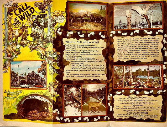 Call of the Wild - Old Promo (newer photo)